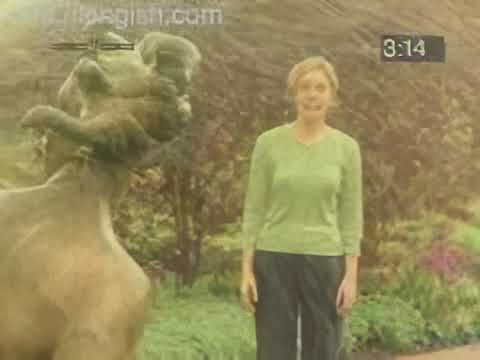 Cutting Edge:  The Time of Your Life